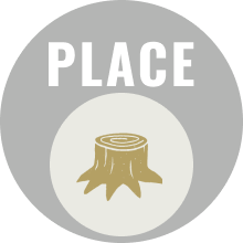icon-place